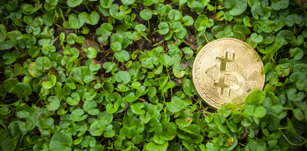 The Benefits of Using Cryptocurrency for Eco-Friendly Fashion Purchases: A Case Study of North Wood Watches