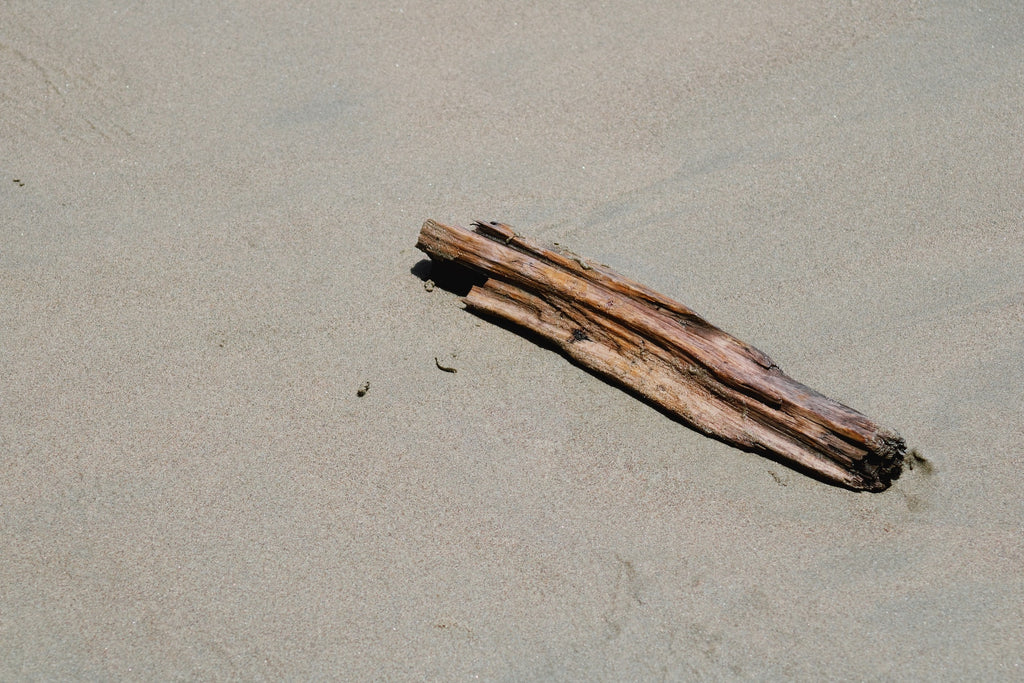 Explore Sustainable Fashion with Northwood Wood Watches